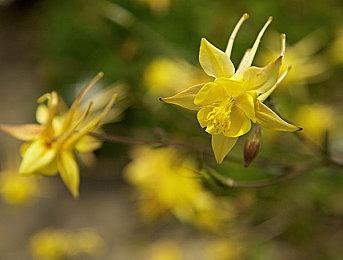 《绝地潜兵2》推出新补丁 改进PS5版游戏登录慢问题